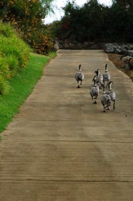葛西臨海水族園