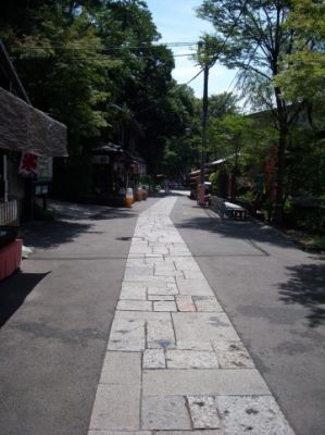 ゲゲゲの女房
